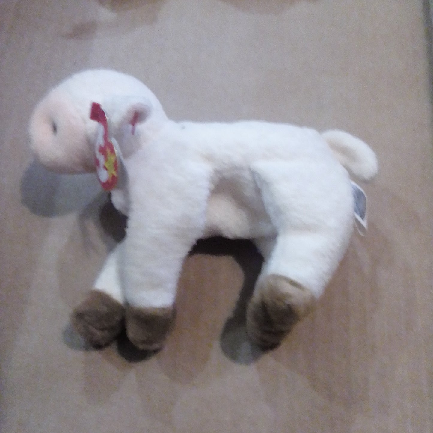 White lamb brown feet beanie baby