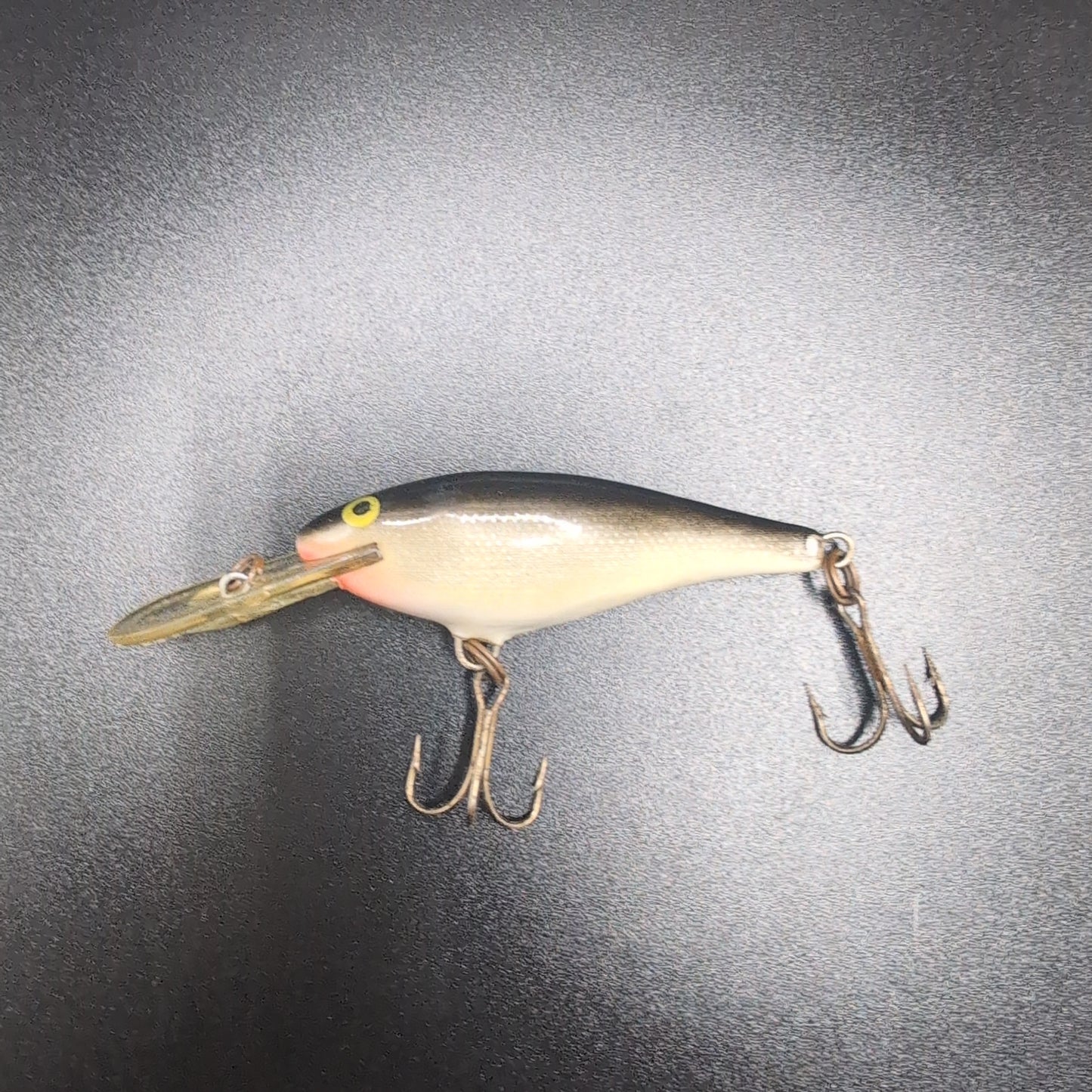Rapala Shad Rap Fishing Lure #L5
