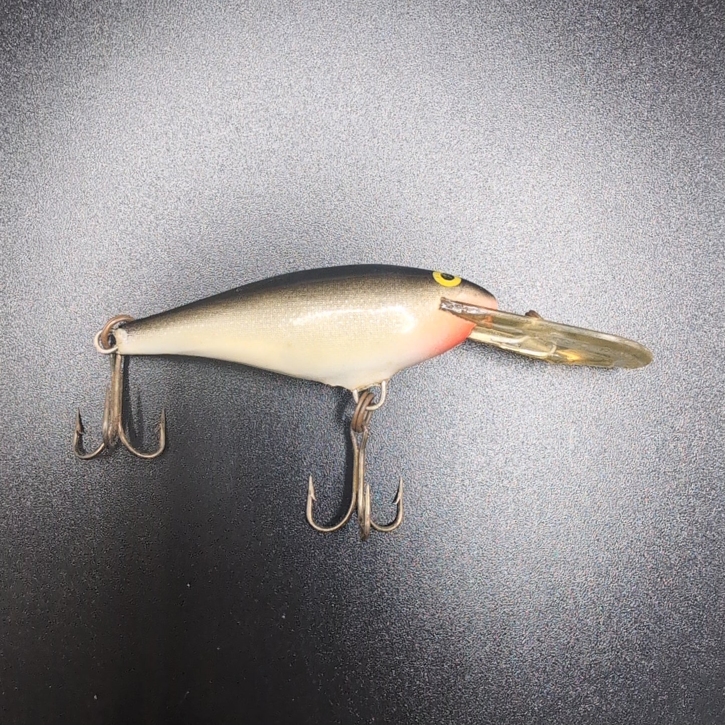 Rapala Shad Rap Fishing Lure #L5