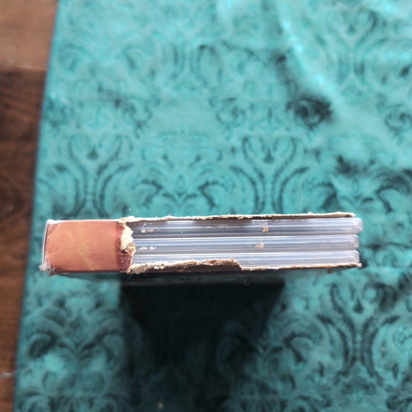 Cheyenne (Television Favorites) [DVD]